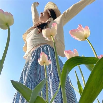 七品芝麻官